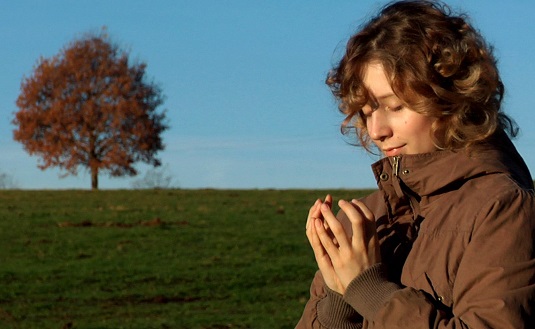 seelenvögel pauline 2