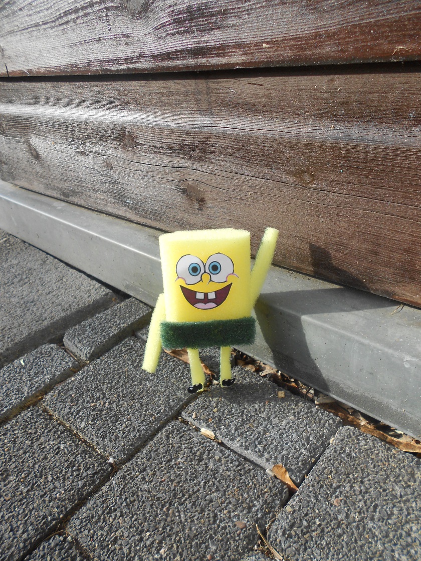 spongebob schwammkopf draußen